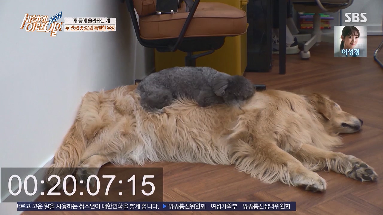 순간포착 세상에 이런일이.E1228p-NEXT.mp4_20230503_200105.214.jpg