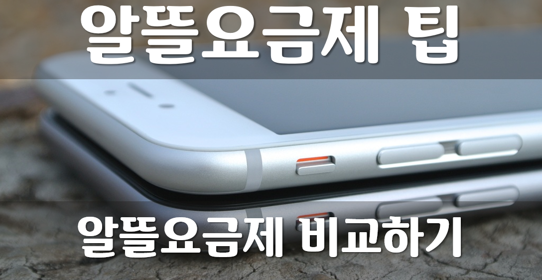  알뜰폰 요금제 가입 전 비교 팁
