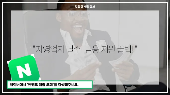 노원구 자영업자 지원 현황
