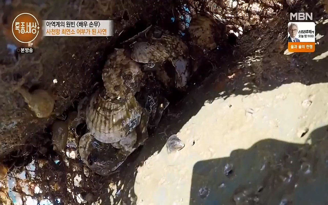 현장르포 특종세상.E530.220513p-NEXT.mp4_20220514_184536.758.jpg