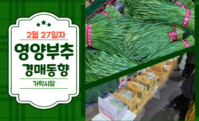  [경매사 일일보고] 2월 27일자 가락시장 영양부추 경매동향을 살펴보겠습니다!