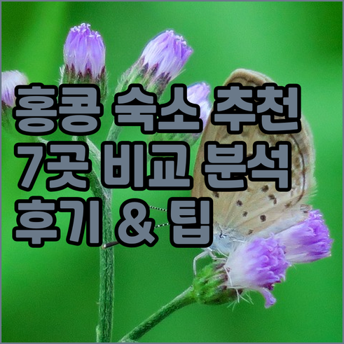 홍콩 숙소 고민 끝! 7곳 비교분석 