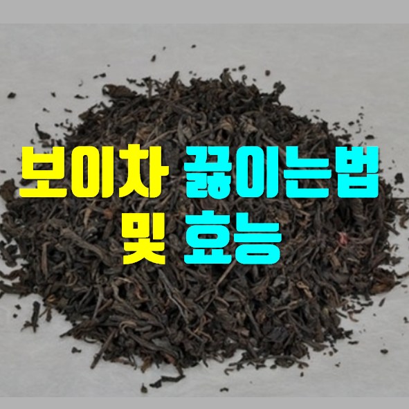  보이차 끓이는법 정말 간단해요!(feat.보이차 효능)