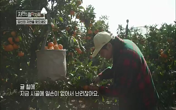 [4회] 자연의 철학자들 - KBS행복하냐고 묻는다면] 흙과 돌, 숲과의 눈맞춤 그리고 물속에서의 숨소리까지 오롯이 김창옥.ts_20220329_191216.947.jpg