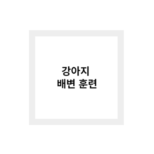 강아지 배변 훈련 시기와 방법