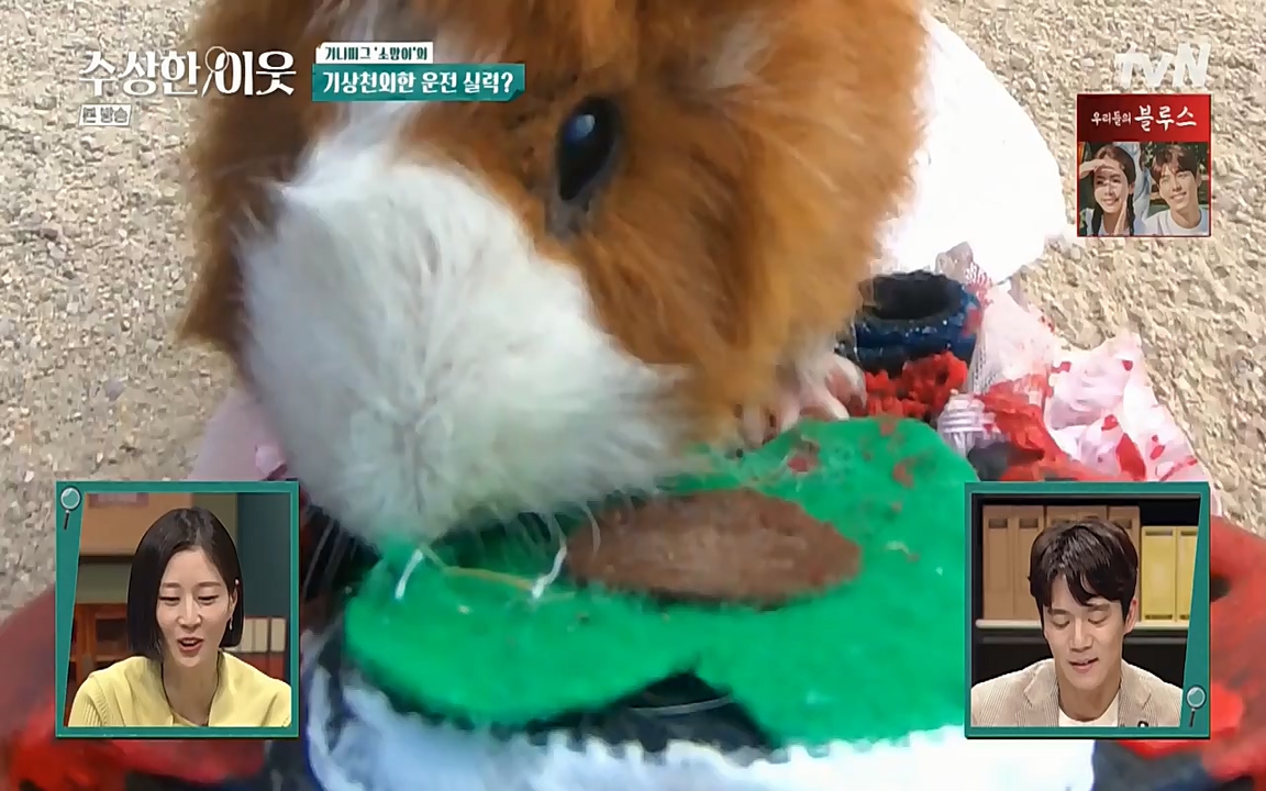 수상한 이웃.E02.220408p-NEXT.mp4_20220409_180950.903.jpg