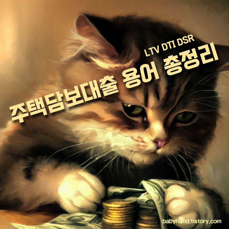 돈을-보고-있는-고양이