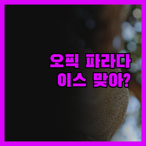 솔직후기 오픽 파라다이스, 공항 근처