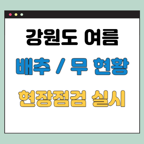  강원도 여름 배추 (생산 현황, 농림축산식품부)