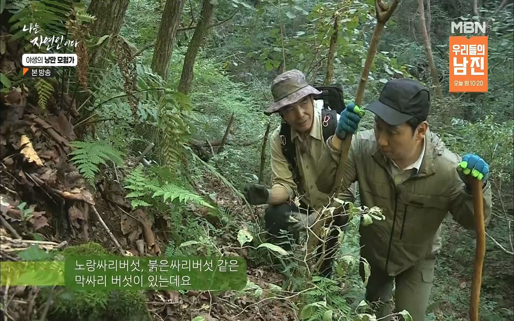 나는 자연인이다.E520.220921p.H264-F1RST.mp4_20220922_202746.069.jpg