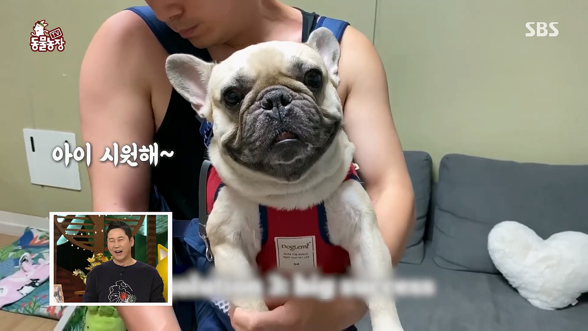 TV 동물농장.E1112.230319p.H264-F1RST.mp4_20230319_175153.352.jpg