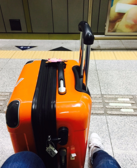  [마드리드 여행 DAY 1] 알 이탈리아 항공 후기 및 마드리드 새벽 도착!!
