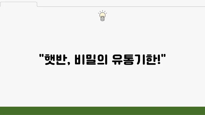햇반 유통기한: 방부제 없이 상하지 않는 이유