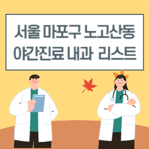 마포구 노고산동 야간진료 내과 병원 리스트 (18시 이후 늦게까지하는 병원)