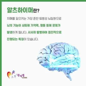 알츠하이머와 치매 차이_6