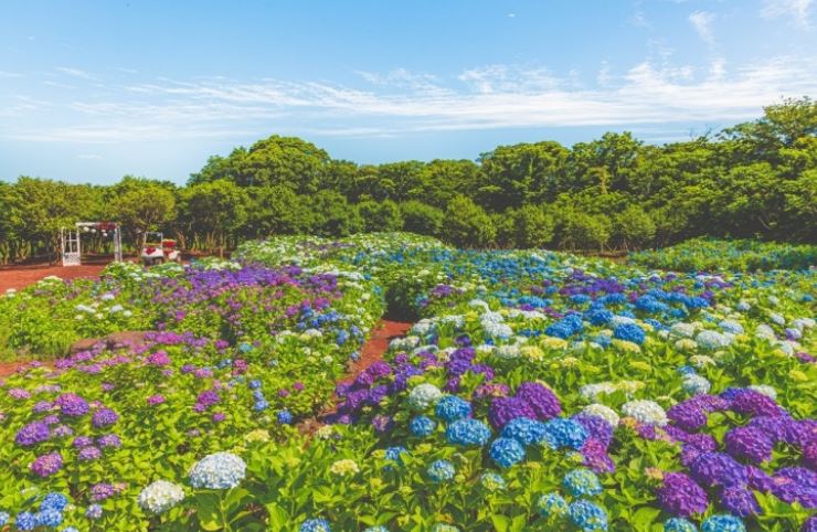 제주 에코랜드