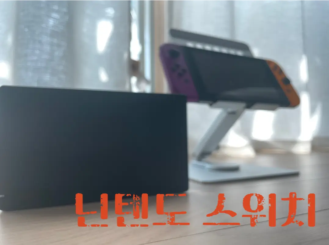 남녀 노소 누구나 좋아하는 닌텐도 스위치 리뷰 & 추천 게임