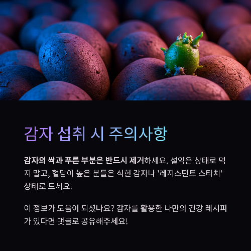 영양 가득한 감자의 재발견, 건강하게 즐기는 모든 방법