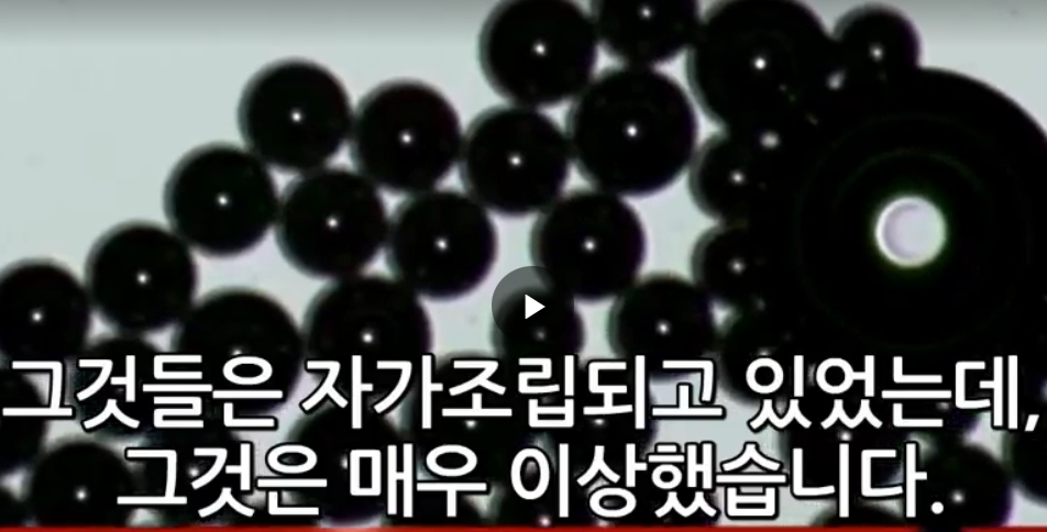  미 혈액분석학자가 밝힌 접종 후 충격적 피의 상태