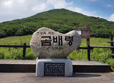 곰배령 이미지
