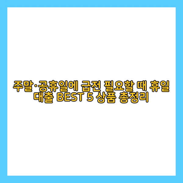 휴일 대출