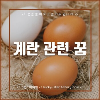 【꿈해몽/꿈풀이】 계란(달걀) 관련 꿈