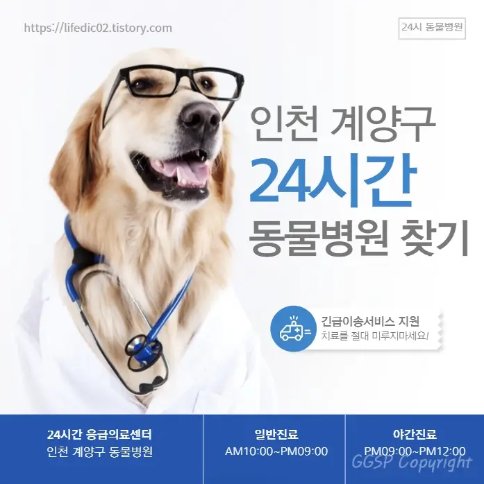 인천-계양구-24시간-동물병원-찾기