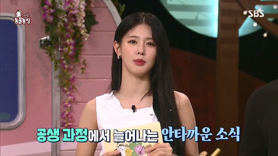 TV 동물농장.E1126.230625p.H264-F1RST.mp4_20230626_204308.847.jpg