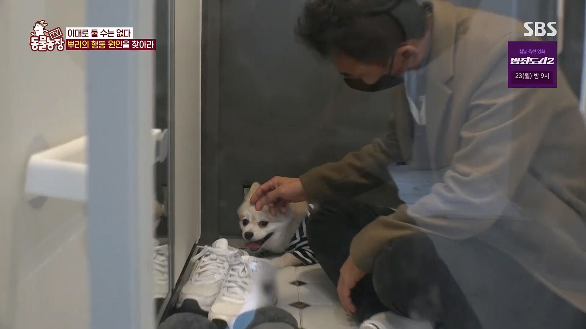 TV 동물농장.E1104.230115p.H264-F1RST.mp4_20230115_173202.417.jpg