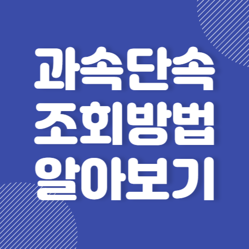 과속단속조회 실시간 확인방법 및 과태료 벌금 단속기준 알아보기 2024