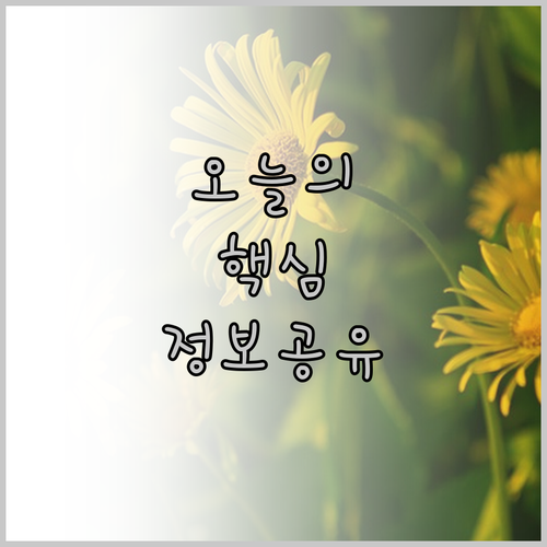 호텔 그라피 네즈 숙소 탐방! 우에노