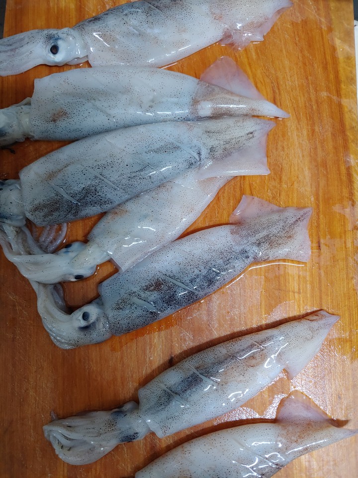  총알오징어 처음 먹어봤어요. 총알오징어 먹지말아야하는걸 이제 알았네요