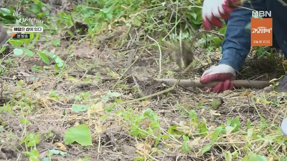 나는 자연인이다.E559.230621p.H264-F1RST.mp4_20230622_204028.354.jpg