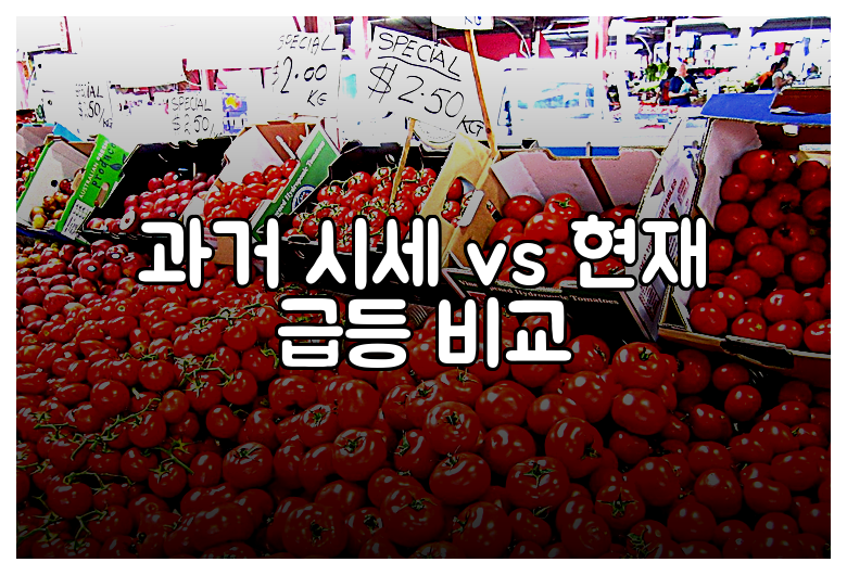 과거 시세 vs 현재 급등 비교