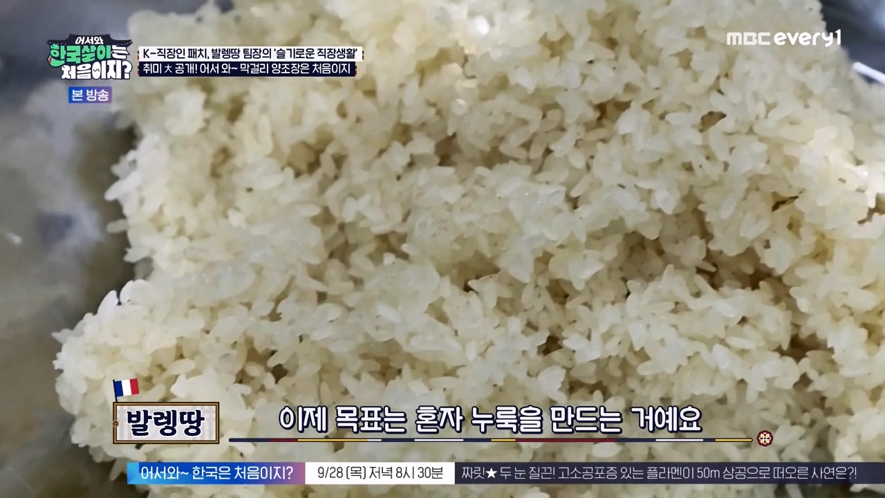 어서와 한국살이는 처음이지.E19.230926p-NEXT.mp4_20230926_205115.230.jpg