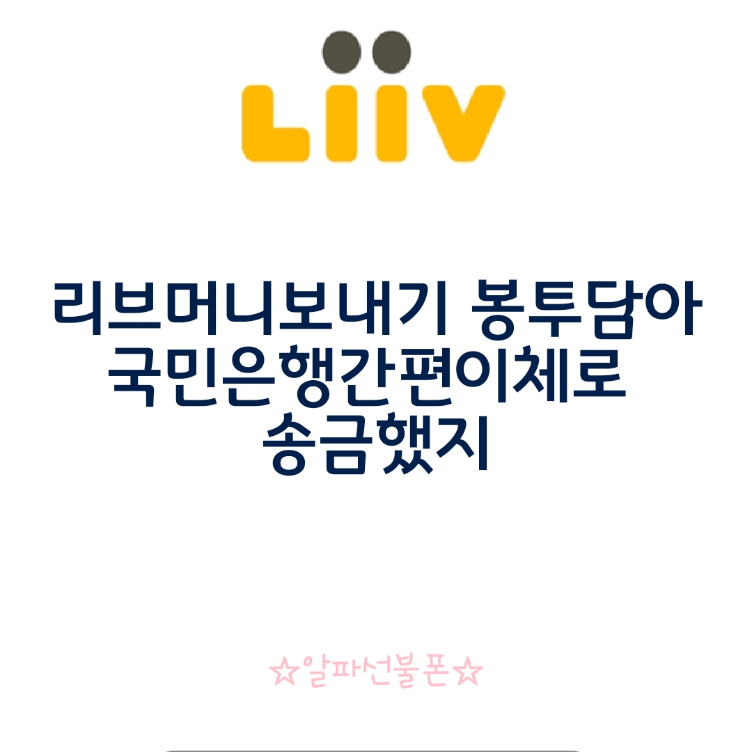  리브머니보내기 봉투담아 국민은행간편이체 바로 송금했죠