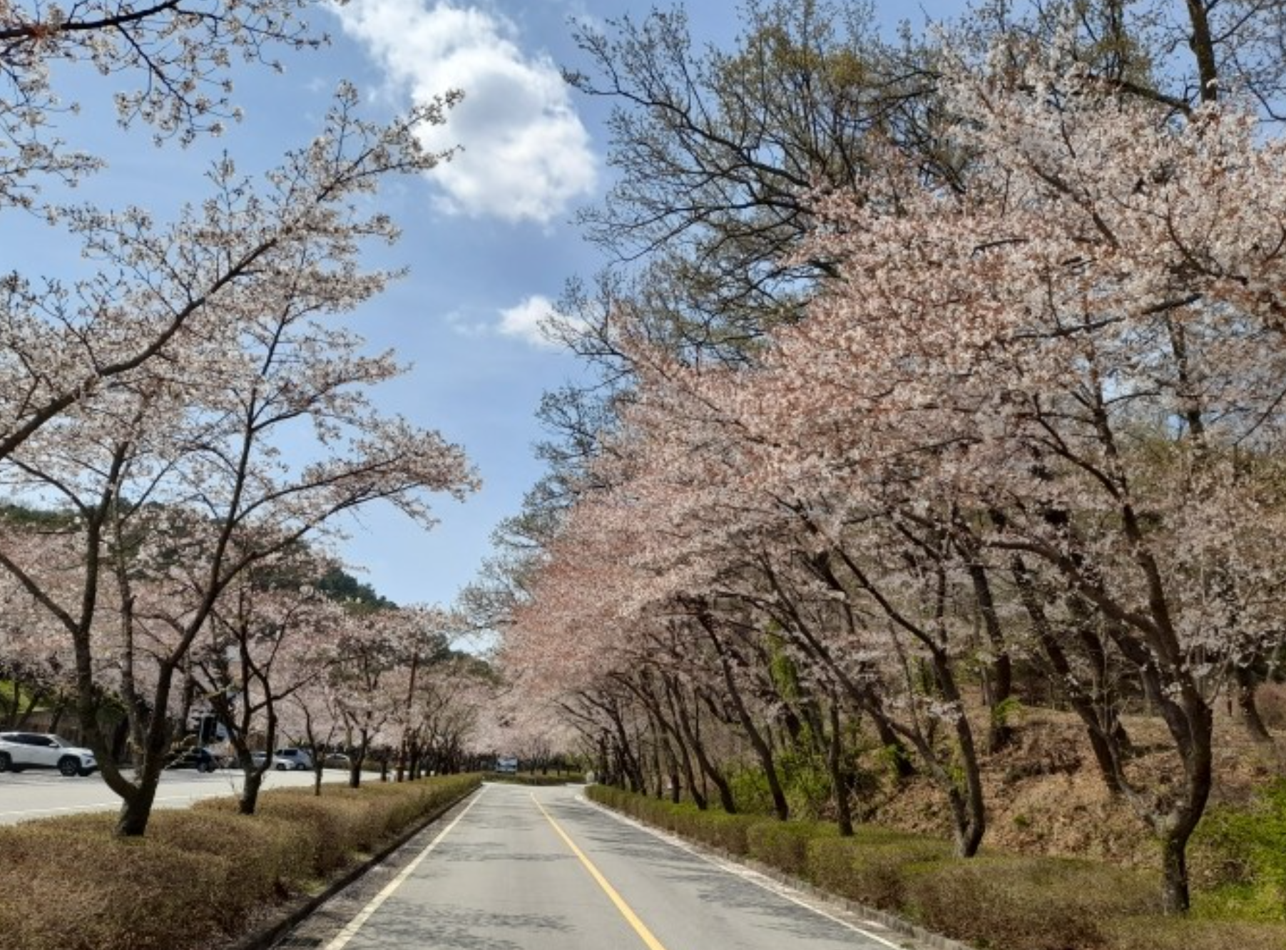 무봉산수련원