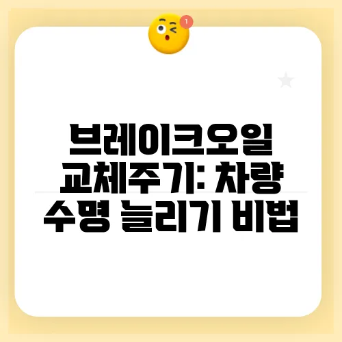 브레이크오일 교체주기: 차량 수명 늘리기 비법