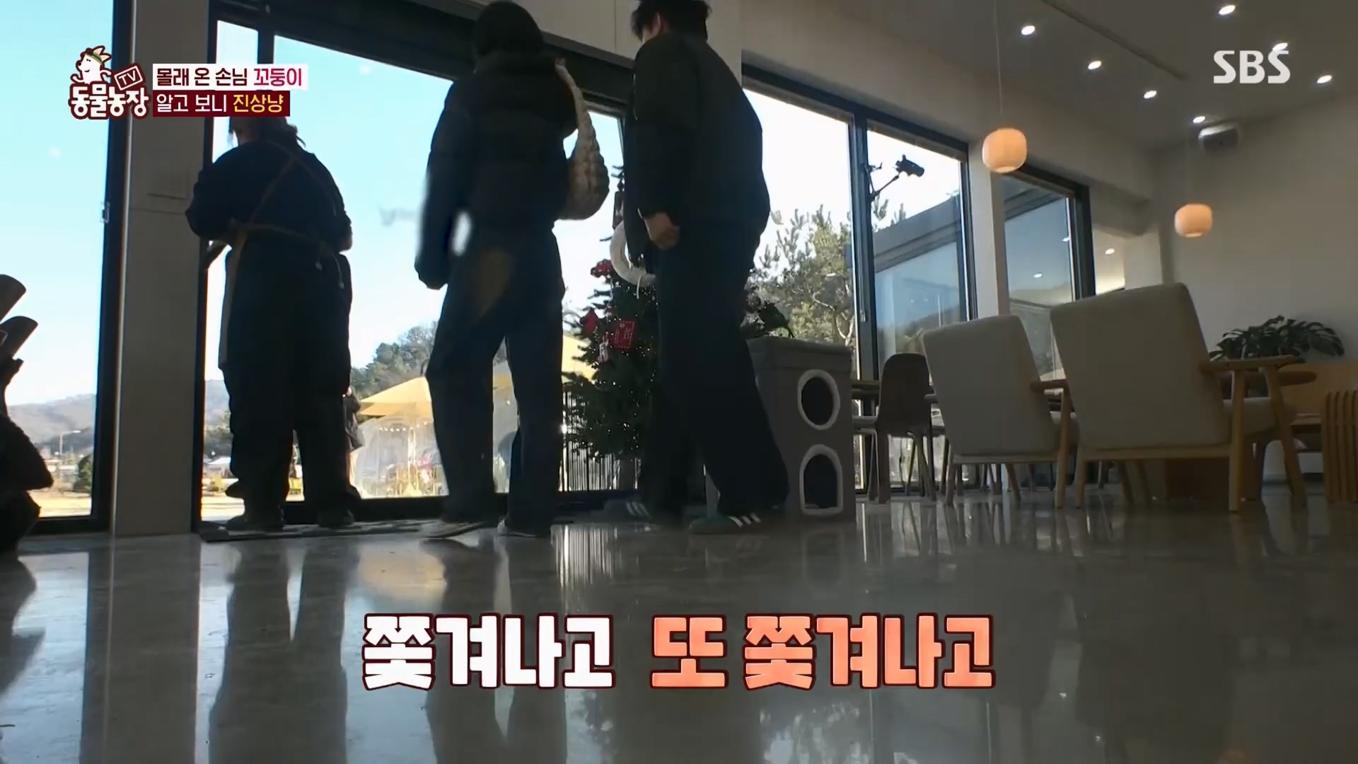 TV 동물농장.E1159.240218p.H264-F1RST.mp4_20240218_170005.200.jpg