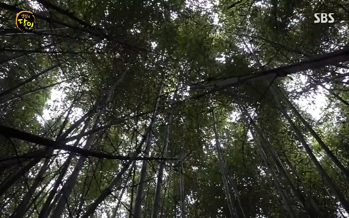 생활의 달인.E840.220426p-NEXT.mp4_20220426_175618.249.jpg