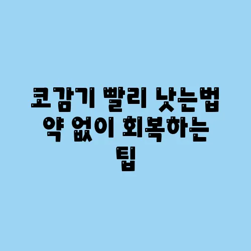 코감기 빨리 낫는법 약 없이 회복하는 팁