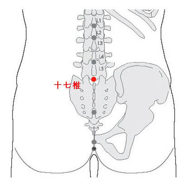 경외기혈(EX) > EX-B8 십칠추 (十七椎) 1