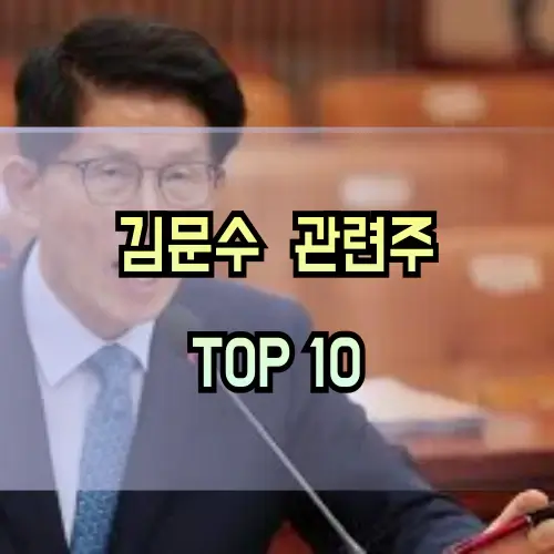 김문수-관련주