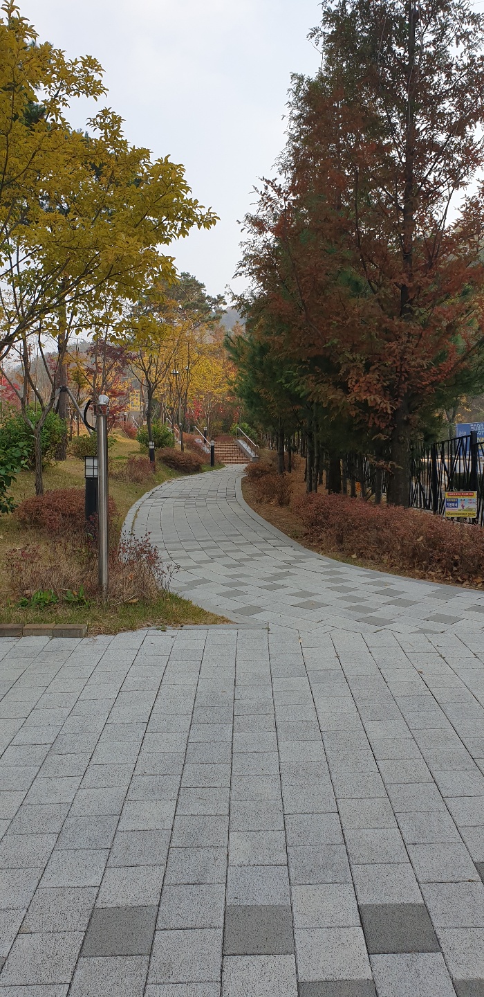  장요나선교사의 베트남 선교행전 리뷰