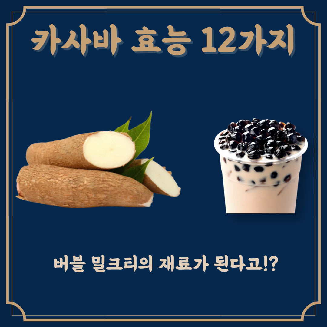 카사바 효능 12가지 효능 버블 밀크티 만드는데도 카사바가!?