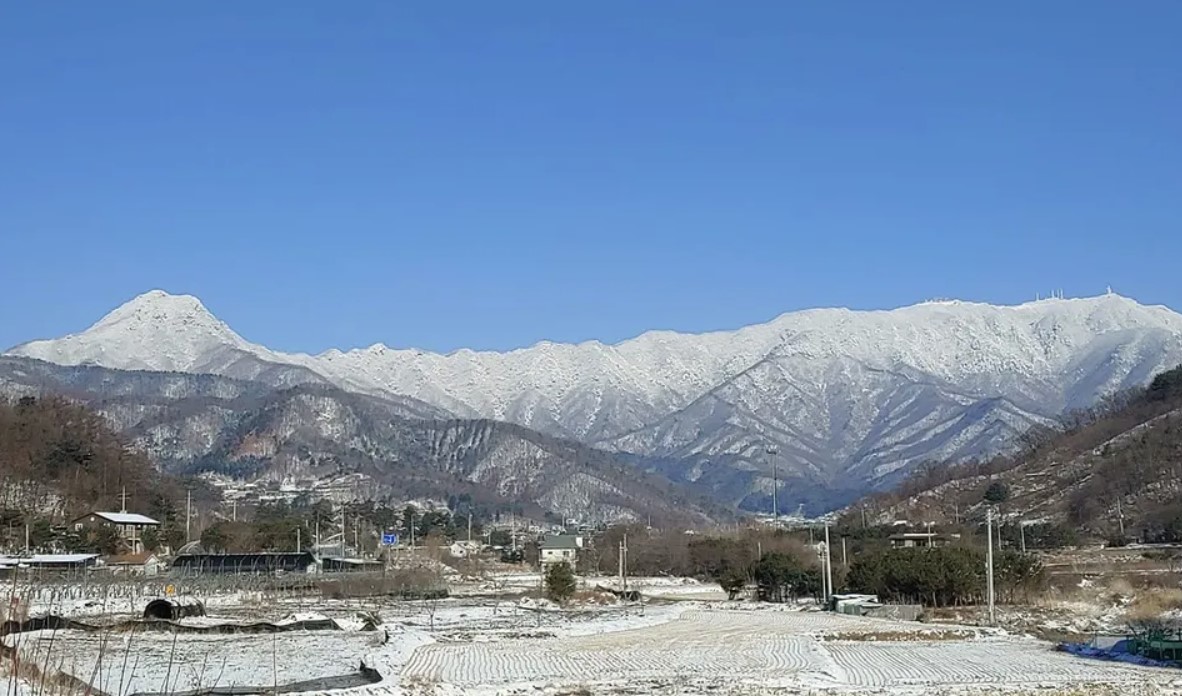 용문산 겨울전경