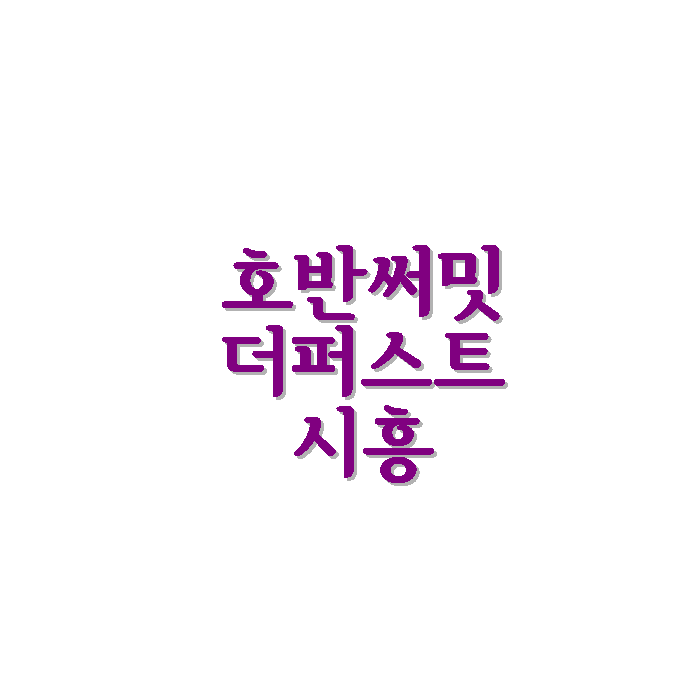  경기도 정왕동 호반써밋 더퍼스트 시흥 아파트 시세 면적 평면도 정보
