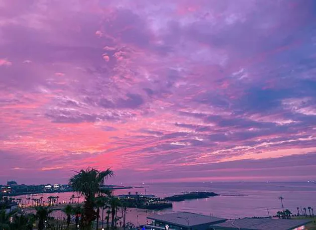 블루크랩 제주
