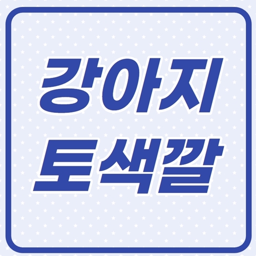  강아지 토색깔 원인분석