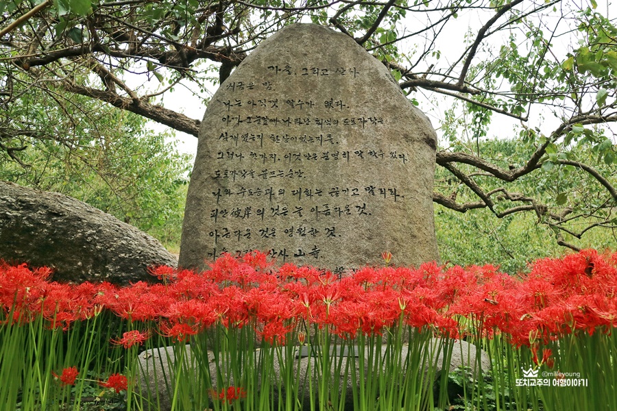 꽃무릇과 시가 적힌 바위 사진